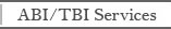 ABI/TBI Vocational Services